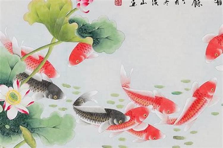 家中能养什么鱼招财聚财 家中养哪种鱼可以聚财