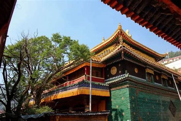 塔尔寺菩提树开花什么意思