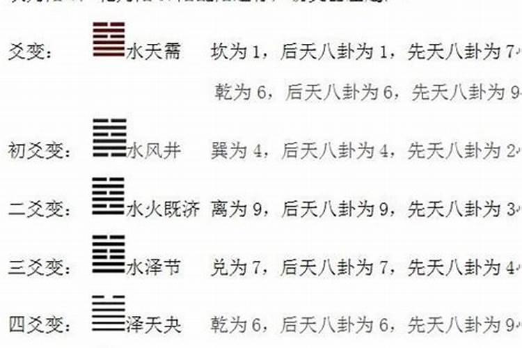 办公室门口放什么植物风水好 办公室盆栽摆放风水方位