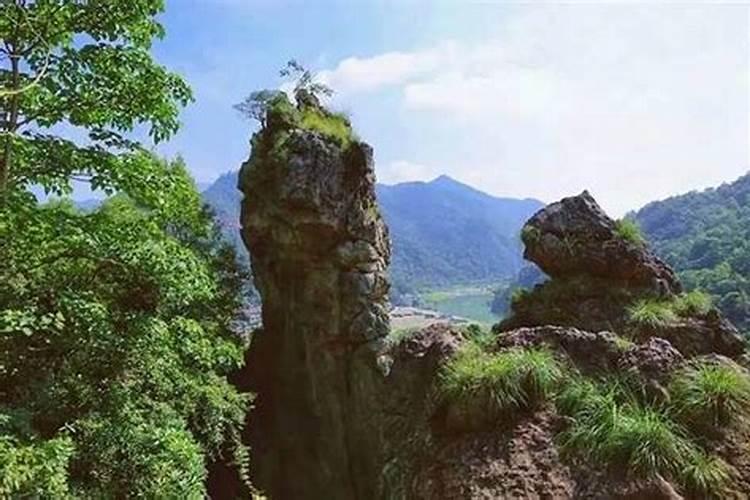 畲乡烟火气温州平阳青街惊艳你的假日时光