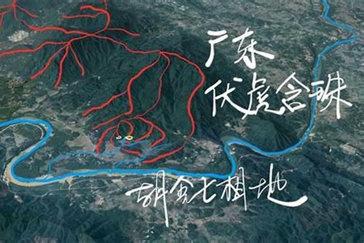 杨公先师指的是谁？