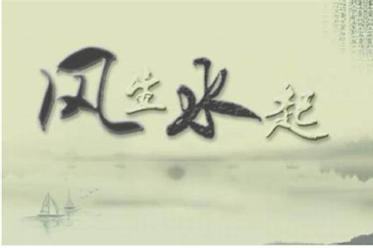 什么龟最辟邪最旺财养活