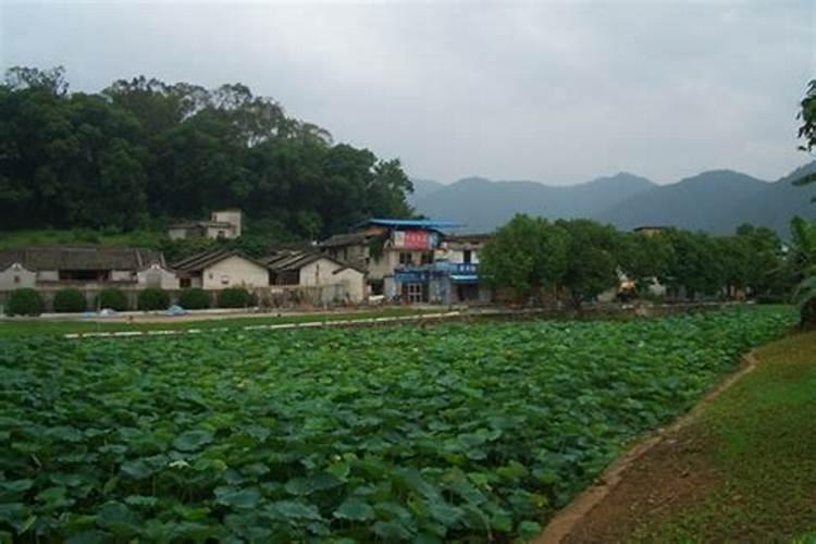 遵义看风水师傅哪里找？遵义风水大师排行榜前十名？遵义看风水一般给多...
