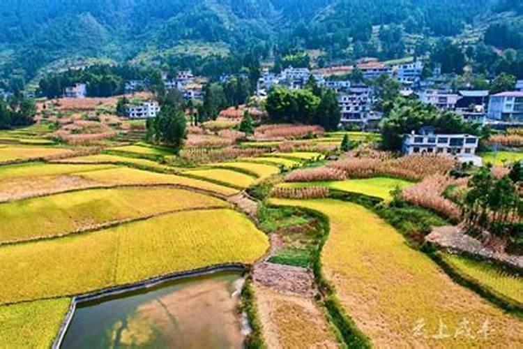 布依族建筑为什么多为依山傍水？布依族建造房屋有什么讲究？