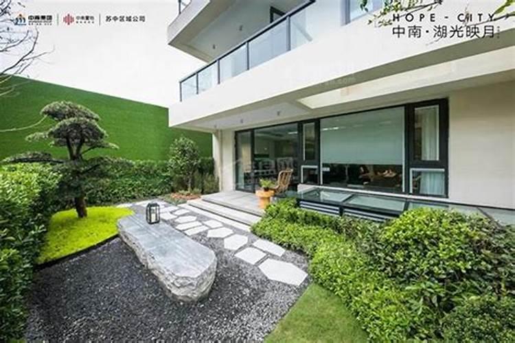 办公室可以放白花小松吗