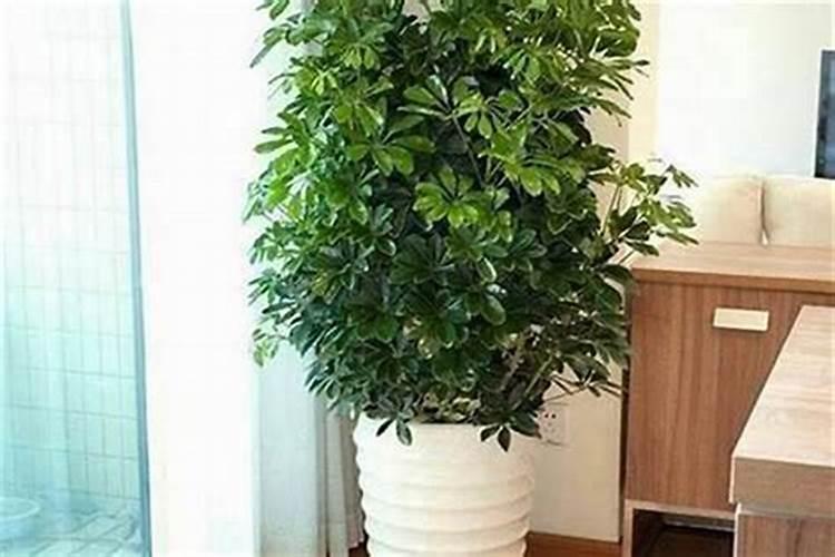 为什么现在还有信风水知乎