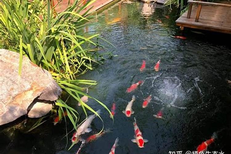 家里有天井的三大风水禁忌!避开就能财源滚滚!家宅兴旺!