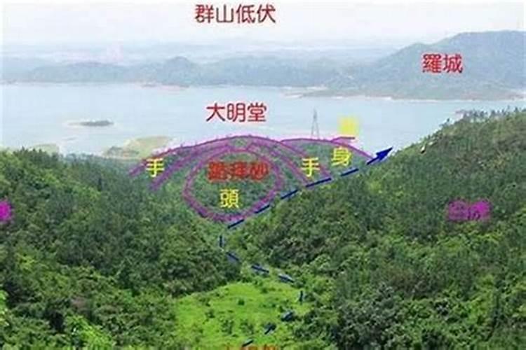 中国哪个大学有风水学