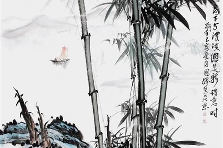 室内摆放什么绿植好？