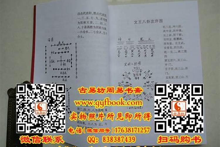 金锁玉关是一本什么本书