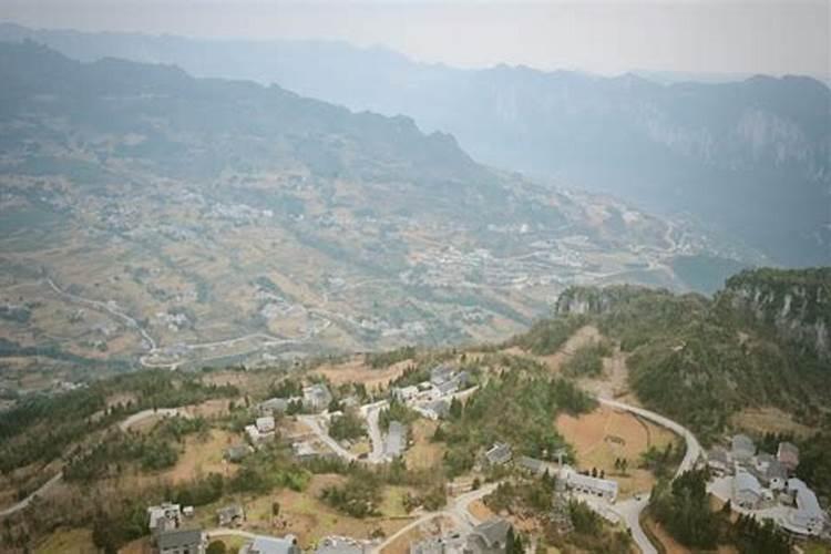 花盆摆放风水你知道有哪些