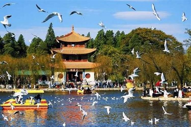 昆明金宝山墓地风水