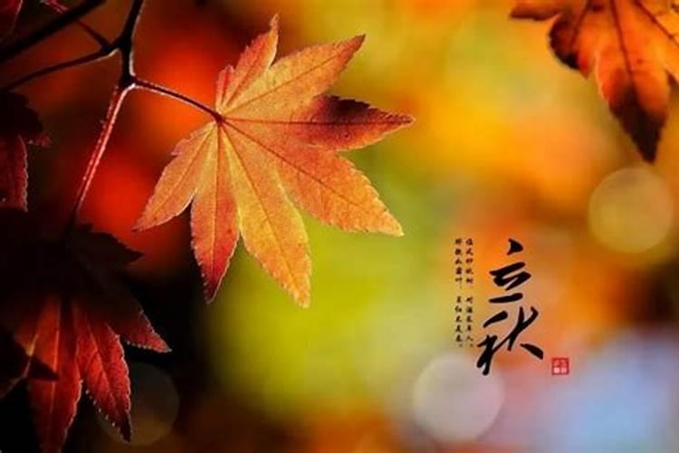 立秋这一天在阴阳风水上有什么避讳？