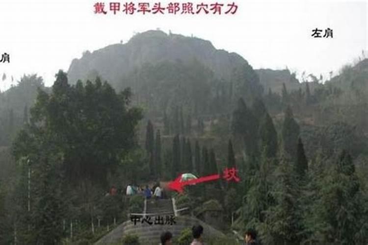 大厂中兴和园二期在什么位置？