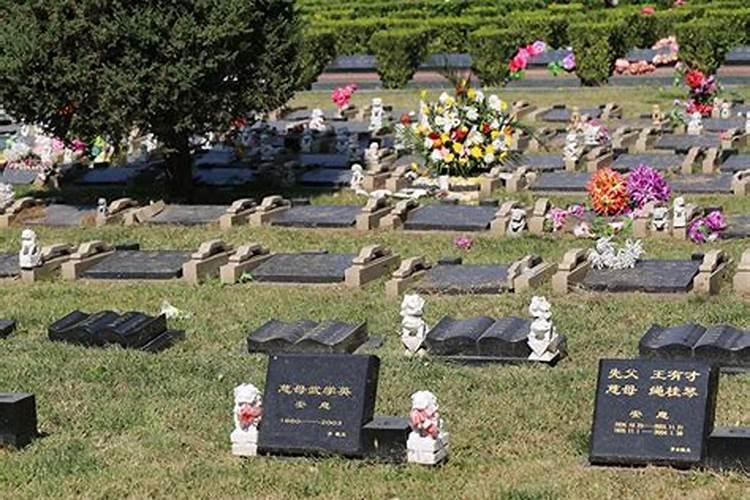 长青园公墓和洪福园(双凤纪念园)那个风水好？