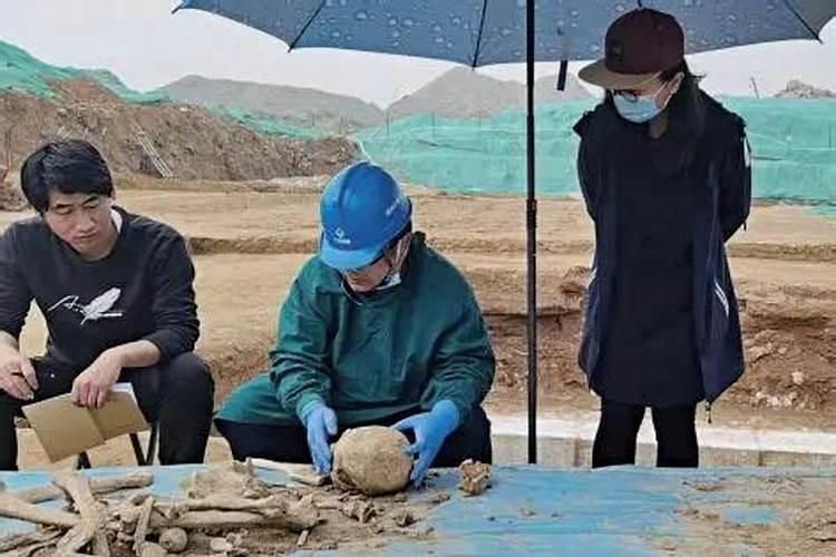 北京东郊火葬场地址在哪里