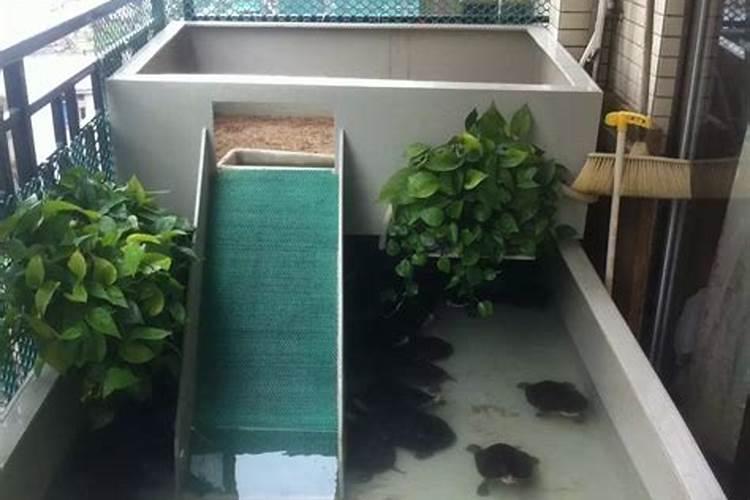 风水卧室上可以做龟池吗？