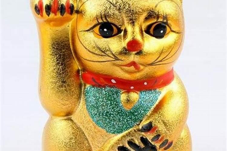 什么颜色的猫最辟邪旺财,猫到底是招财还是来灾
