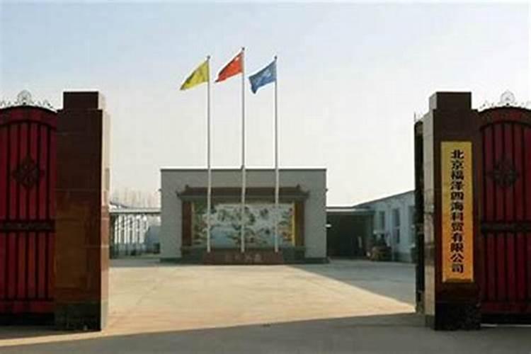 楼顶放什么摆件能镇宅进财