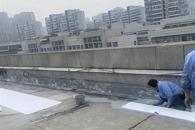 庭院种桔子的禁忌