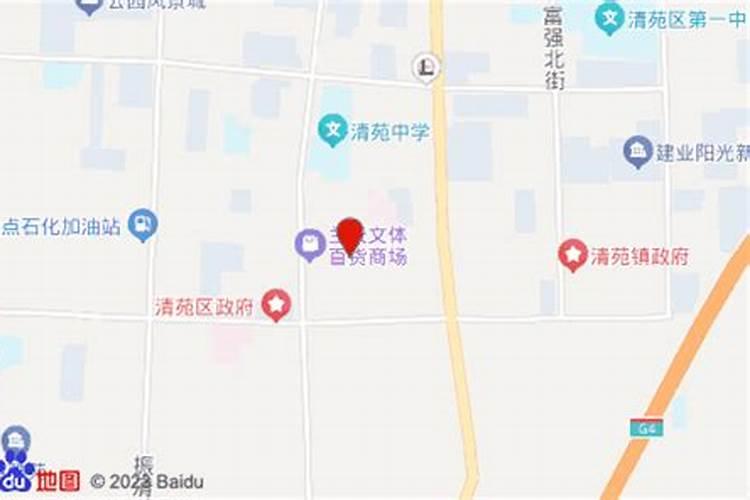 女贞树种家里风水好吗？金叶女贞家里能种吗