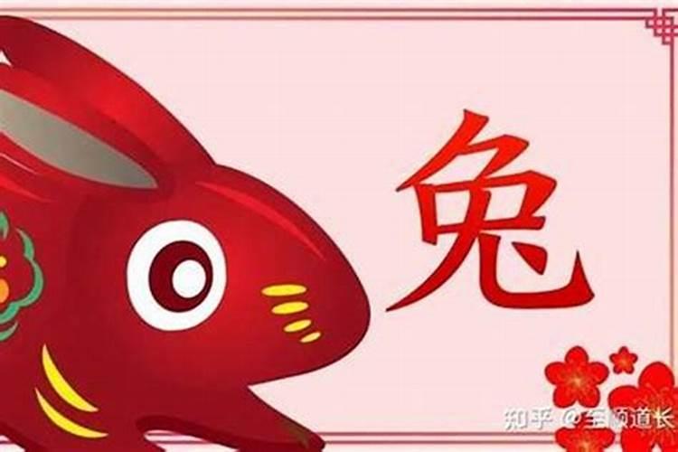 家里养兔子招财吗
