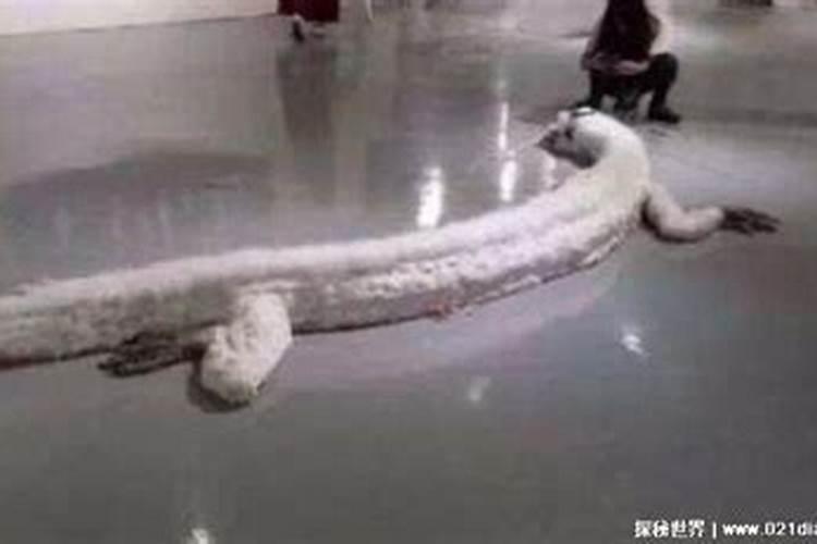 如何打造旺人丁的风水？房子要“旺丁” 选好朝向很重要