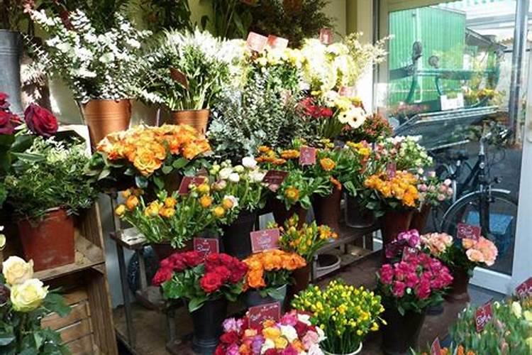 花店摆放位置风水讲究花店摆放位置风水有什么讲究