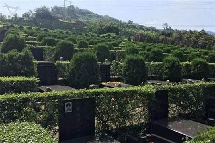 别墅庭院树木风水讲究有哪些？