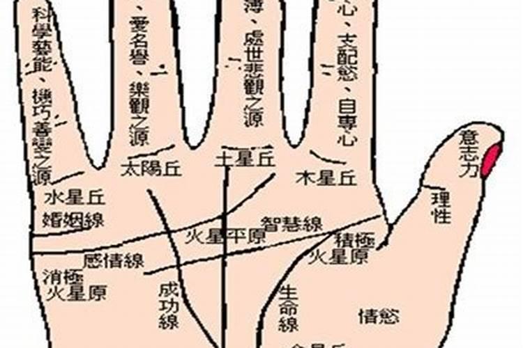 手相中的阴阳宅风水