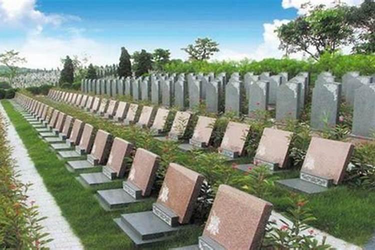 墓地风水宝地六个标准怎么选号