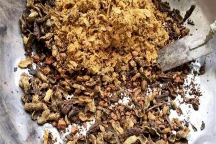 石斛兰怎么养 石斛兰的风水