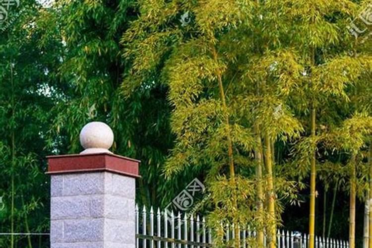 周易与堪舆经典文集:入地眼全书图书目录