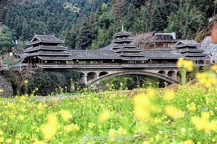 正屋后种什么树最旺风水