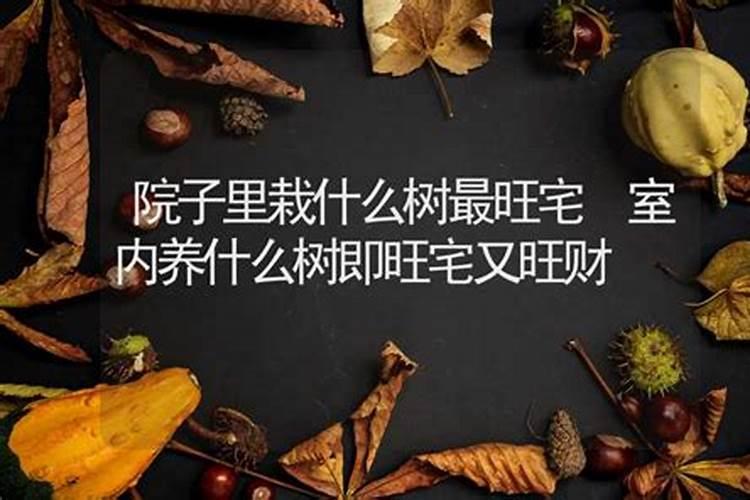 咸丰网咸丰县概况