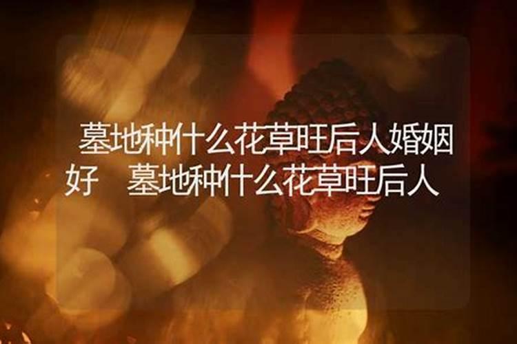 教室的哪个地方风水好
