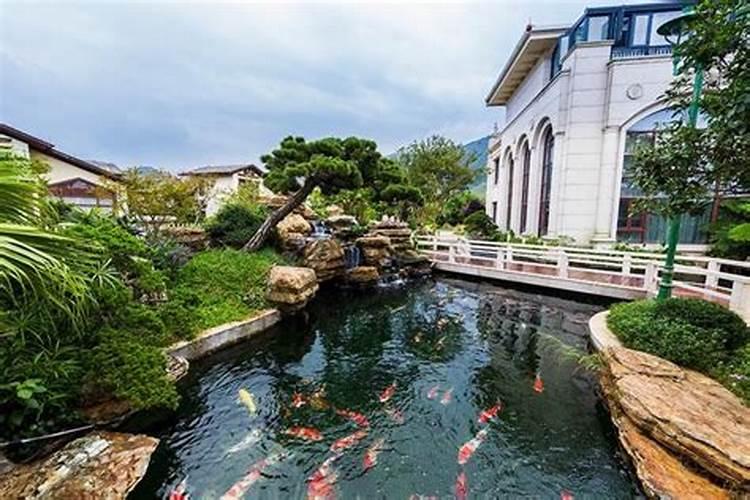 楼顶如何建鱼池