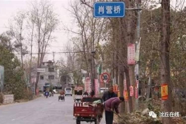 沈丘青甜小镇在哪里