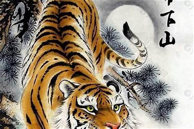 招财阵如何放