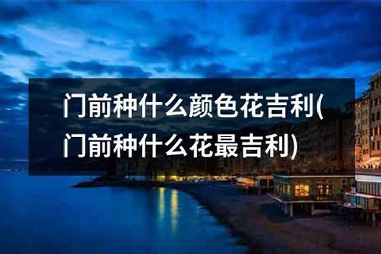 门前种什么花最旺财最旺财