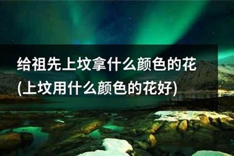 墓地适合种什么花