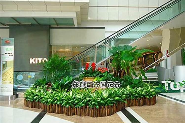 楼梯放什么最旺财