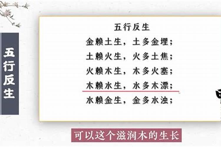 农历二月三十日出生的宝宝风水布局