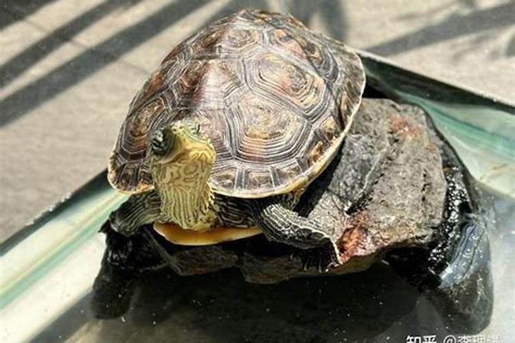 阴阳先生和风水先生有啥区别