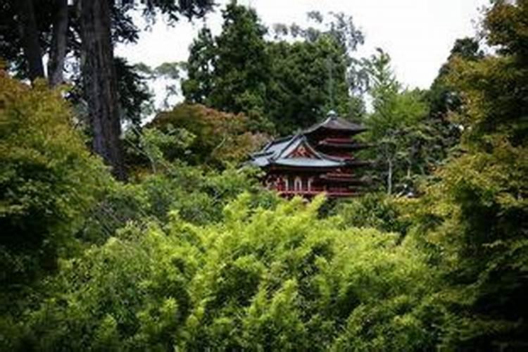 涟水县有哪些堪称一绝的自然风景区？