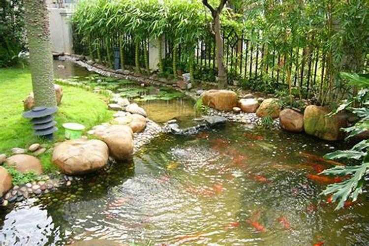 院子里的水怎样流旺财