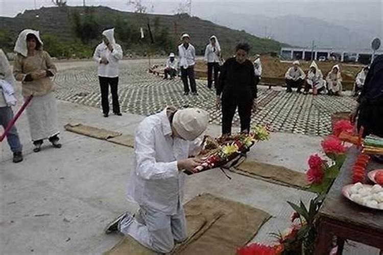 办公室花草摆放什么花 办公室适合种植的花草