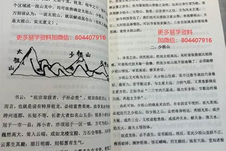 肖棠木是做什么的？