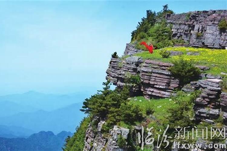 谁介绍下 刘氏 的来历