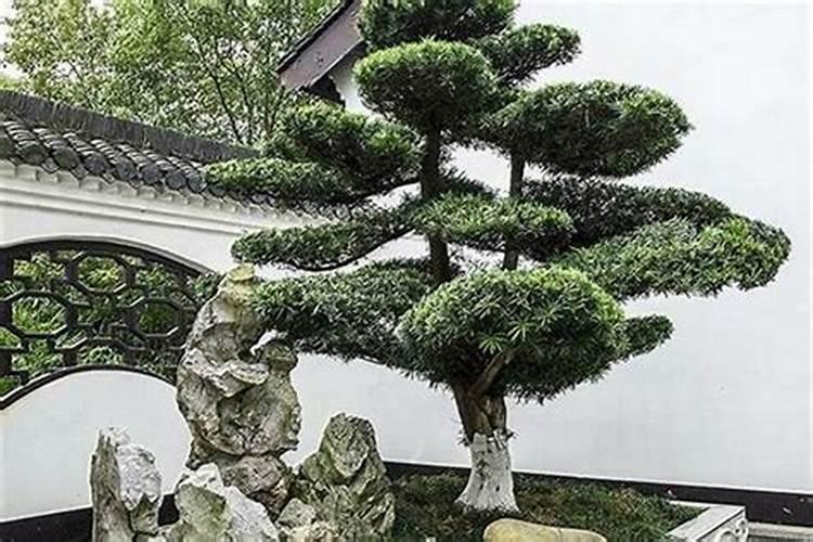 买房子主要看什么风水